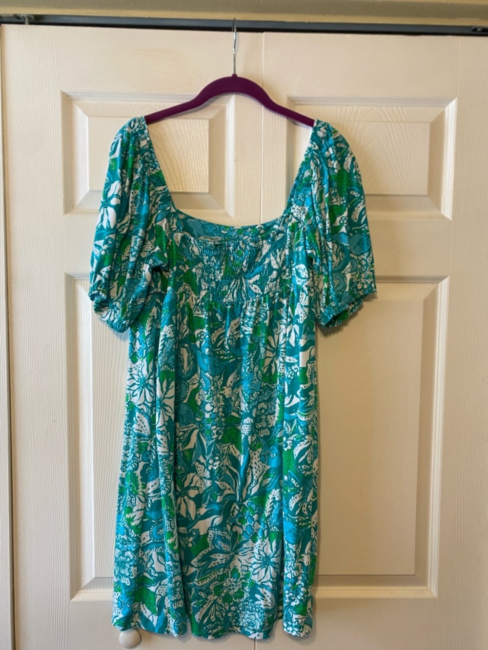 Lilly Pulitzer Delaney Dress - Picture 2 of 2